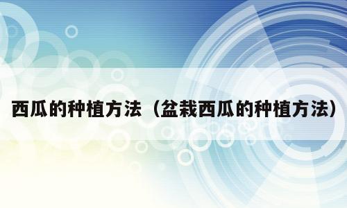 西瓜的种植方法（盆栽西瓜的种植方法）