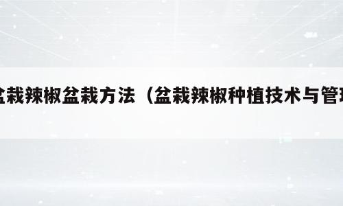 盆栽辣椒盆栽方法（盆栽辣椒种植技术与管理）