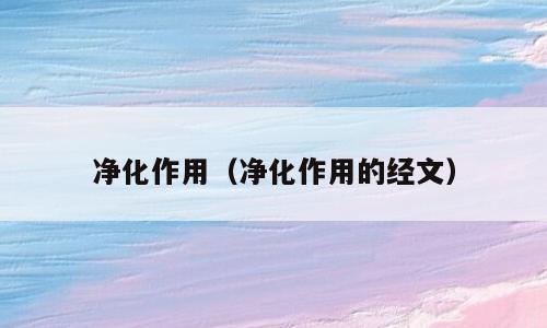 净化作用（净化作用的经文）