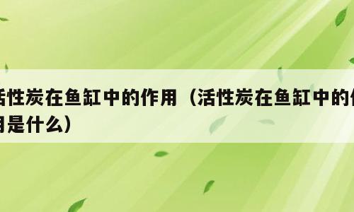 活性炭在鱼缸中的作用（活性炭在鱼缸中的作用是什么）