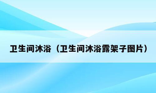 卫生间沐浴（卫生间沐浴露架子图片）
