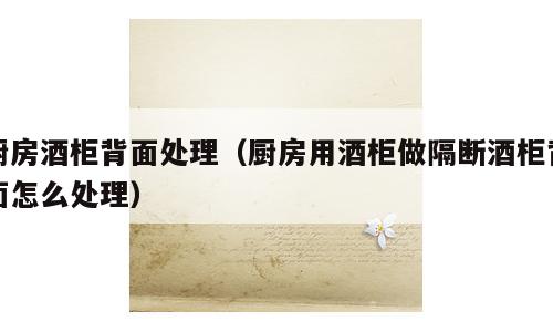 厨房酒柜背面处理（厨房用酒柜做隔断酒柜背面怎么处理）