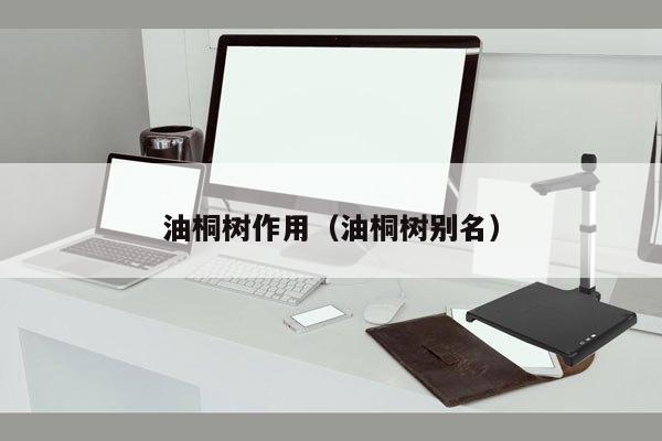 油桐树作用（油桐树别名）