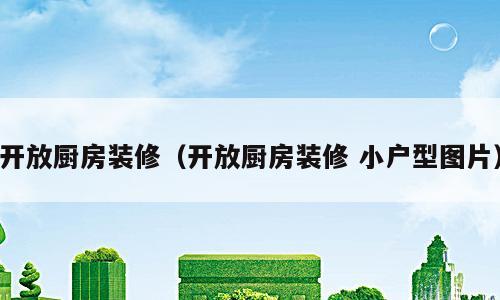 开放厨房装修（开放厨房装修 小户型图片）