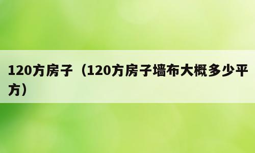 120方房子（120方房子墙布大概多少平方）