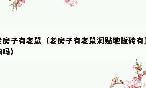 老房子有老鼠（老房子有老鼠洞贴地板砖有影响吗）