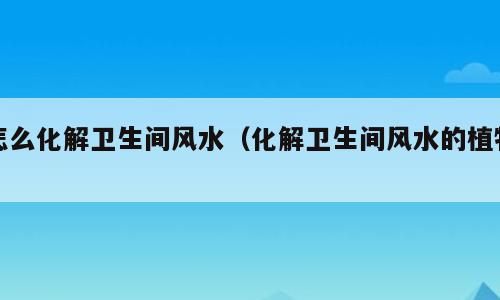 怎么化解卫生间风水（化解卫生间风水的植物）