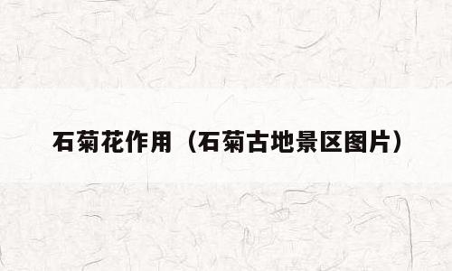 石菊花作用（石菊古地景区图片）