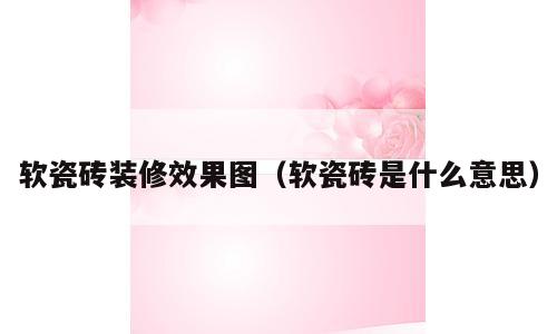 软瓷砖装修效果图（软瓷砖是什么意思）
