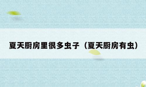 夏天厨房里很多虫子（夏天厨房有虫）