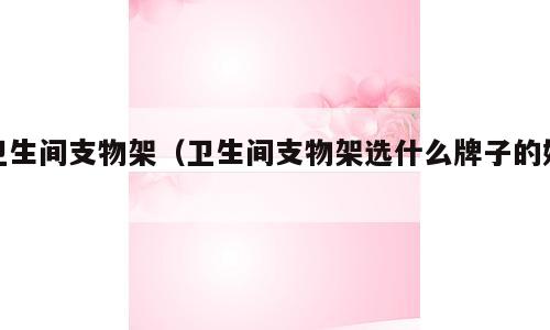 卫生间支物架（卫生间支物架选什么牌子的好）