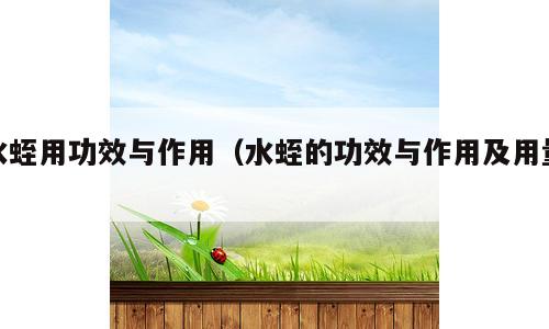 水蛭用功效与作用（水蛭的功效与作用及用量）