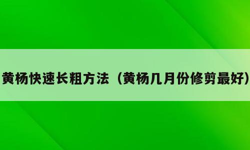 黄杨快速长粗方法（黄杨几月份修剪最好）