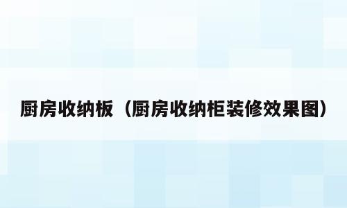 厨房收纳板（厨房收纳柜装修效果图）