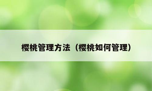 樱桃管理方法（樱桃如何管理）