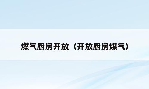 燃气厨房开放（开放厨房煤气）