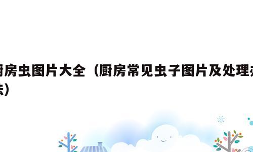 厨房虫图片大全（厨房常见虫子图片及处理办法）