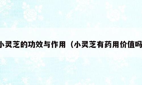 小灵芝的功效与作用（小灵芝有药用价值吗）