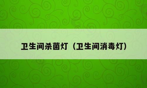 卫生间杀菌灯（卫生间消毒灯）