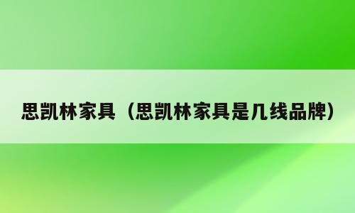 思凯林家具（思凯林家具是几线品牌）