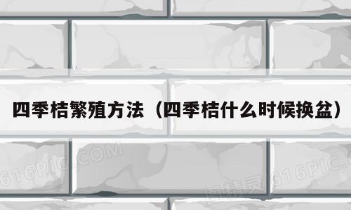 四季桔繁殖方法（四季桔什么时候换盆）
