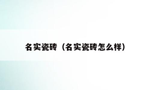 名实瓷砖（名实瓷砖怎么样）