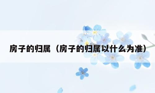 房子的归属（房子的归属以什么为准）