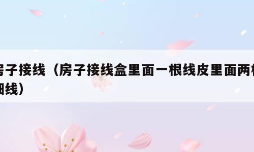 房子接线（房子接线盒里面一根线皮里面两根细线）