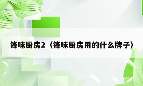 锋味厨房2（锋味厨房用的什么牌子）
