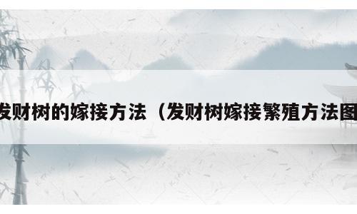 发财树的嫁接方法（发财树嫁接繁殖方法图）