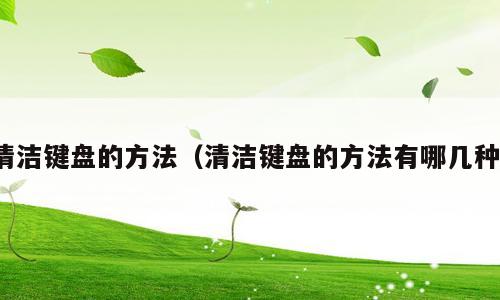 清洁键盘的方法（清洁键盘的方法有哪几种）