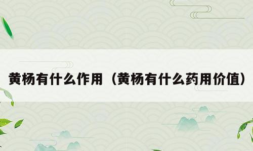 黄杨有什么作用（黄杨有什么药用价值）