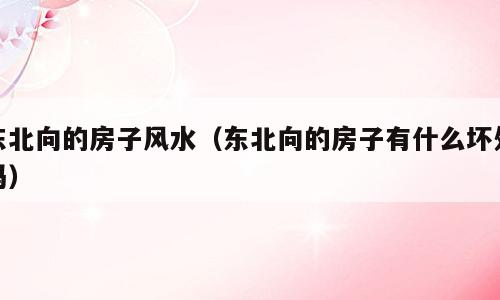 东北向的房子风水（东北向的房子有什么坏处吗）