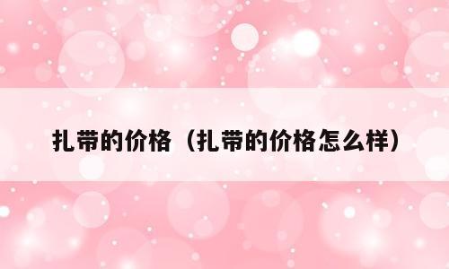 扎带的价格（扎带的价格怎么样）
