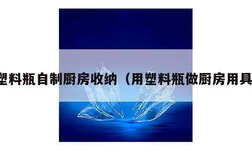 塑料瓶自制厨房收纳（用塑料瓶做厨房用具）