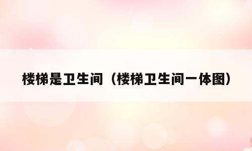 楼梯是卫生间（楼梯卫生间一体图）