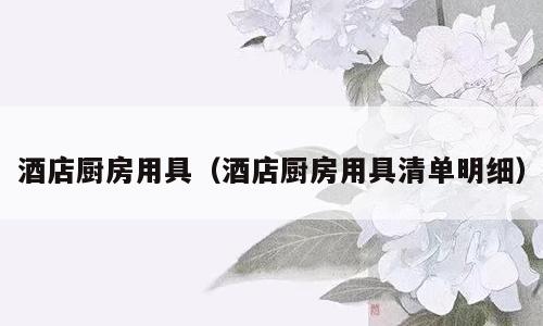 酒店厨房用具（酒店厨房用具清单明细）