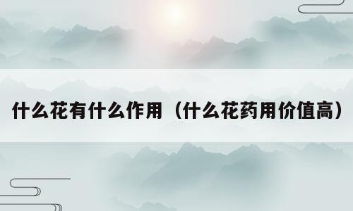 什么花有什么作用（什么花药用价值高）