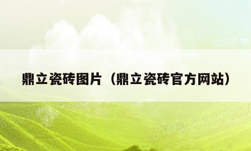 鼎立瓷砖图片（鼎立瓷砖官方网站）