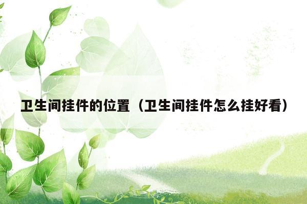 卫生间挂件的位置（卫生间挂件怎么挂好看）