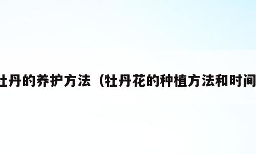 牡丹的养护方法（牡丹花的种植方法和时间）