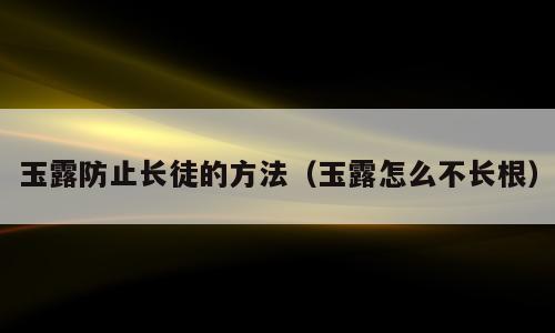 玉露防止长徒的方法（玉露怎么不长根）