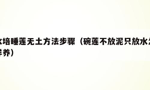 水培睡莲无土方法步骤（碗莲不放泥只放水怎样养）