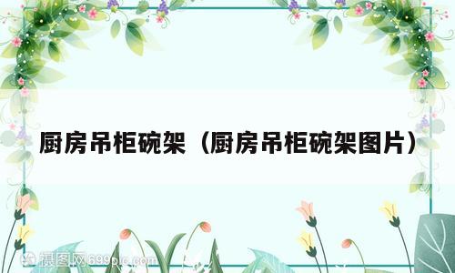 厨房吊柜碗架（厨房吊柜碗架图片）