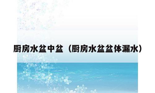 厨房水盆中盆（厨房水盆盆体漏水）