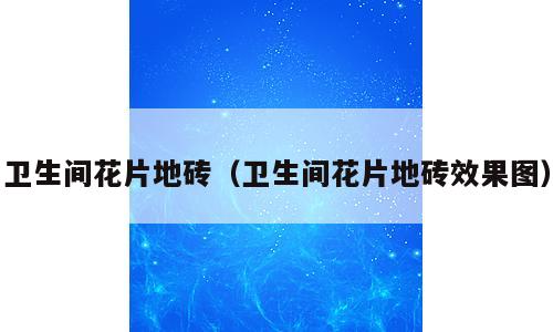 卫生间花片地砖（卫生间花片地砖效果图）
