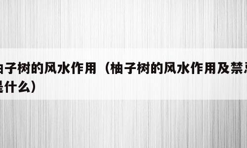 柚子树的风水作用（柚子树的风水作用及禁忌是什么）