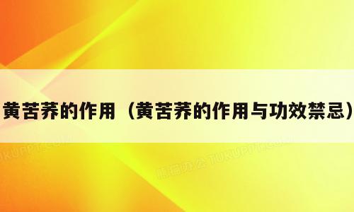 黄苦荞的作用（黄苦荞的作用与功效禁忌）