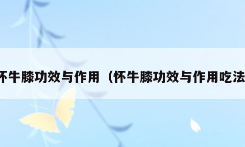 怀牛膝功效与作用（怀牛膝功效与作用吃法）