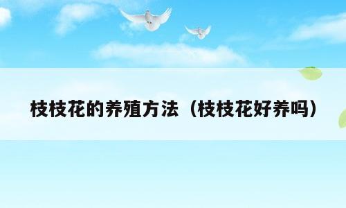 枝枝花的养殖方法（枝枝花好养吗）